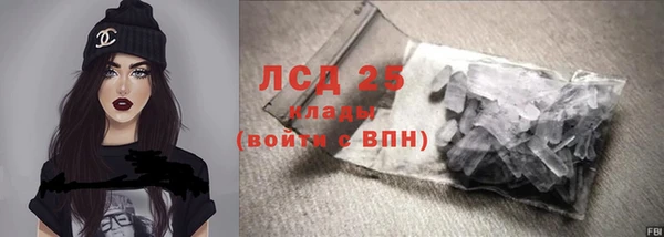гидра Горняк