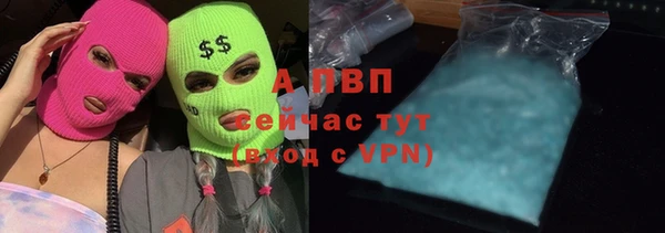 крисы Вязьма