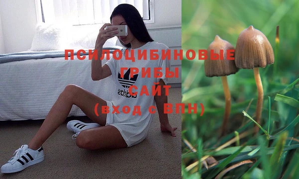 каннабис Вязники